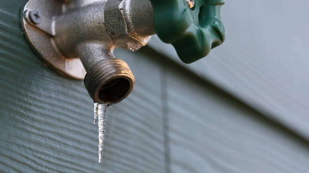 Best Clogged Drain Plumber  in Windermere, FL