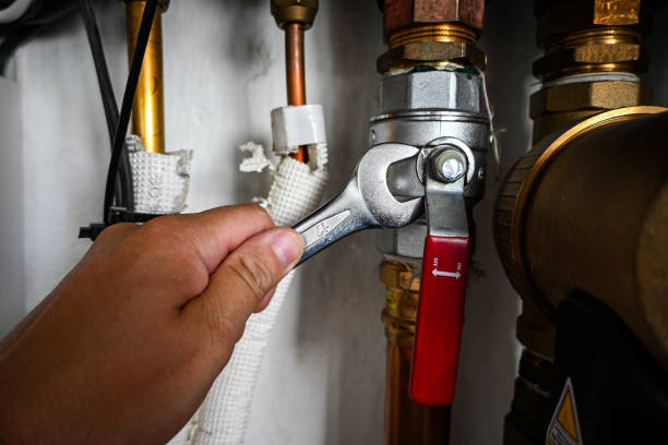 Best Residential Plumbing Services  in Windermere, FL